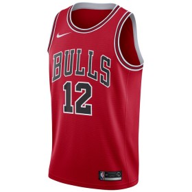 NBA Mænd Trøje Chicago Bulls Ayo Dosunmu 12 2022-23 Nike Icon Edition Rød Swingman